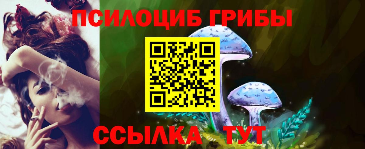 Галлюциногенные грибы прущие грибы Павлово
